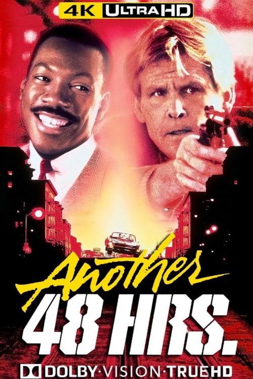 Another 48 Hrs. poster